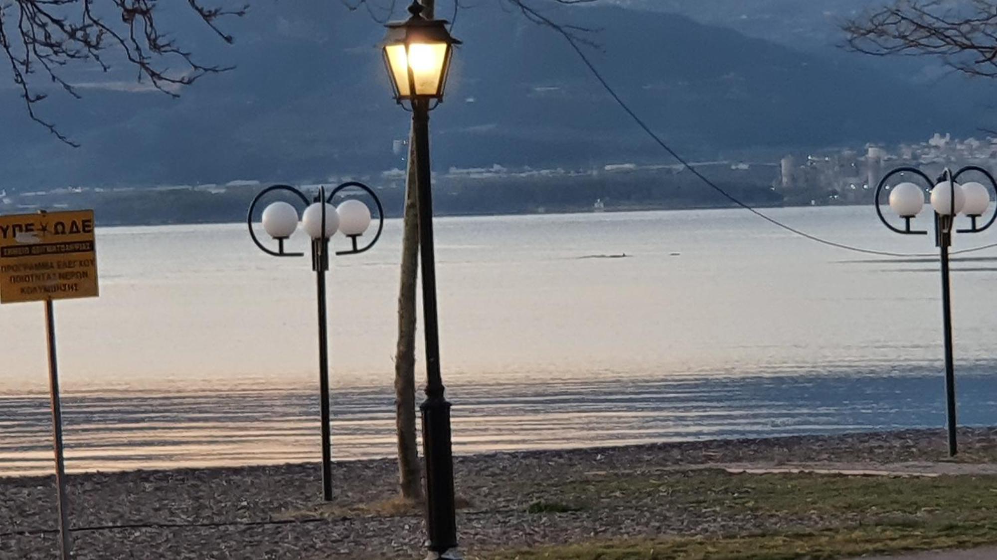 Nafpaktos Seaside Apartment المظهر الخارجي الصورة